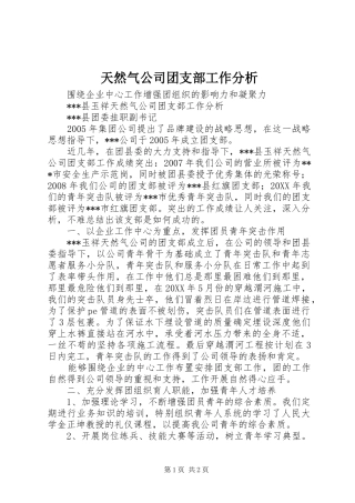 2024年天然气公司团支部工作分析