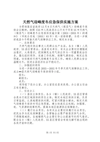 2024年天然气迎峰度冬应急保供实施方案
