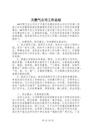 2024年天燃气公司工作总结