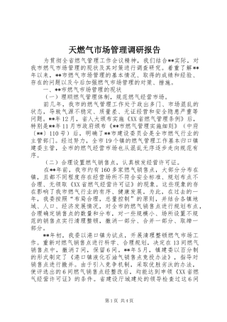 2024年天燃气市场管理调研报告