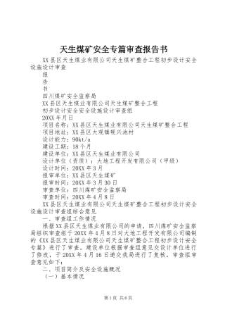 2024年天生煤矿安全专篇审查报告书