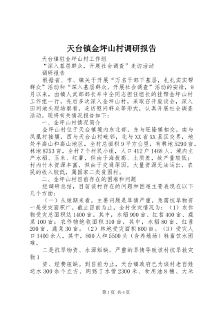 2024年天台镇金坪山村调研报告