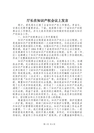 2024年厅长在知识产权会议上讲话