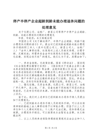 2024年停产半停产企业超龄到龄未能办理退休问题的处理意见