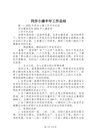 2024年同步小康半年工作总结