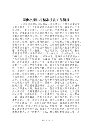 2024年同步小康驻村精准扶贫工作简报