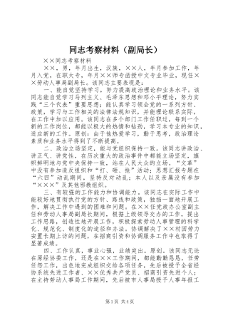 2024年同志考察材料