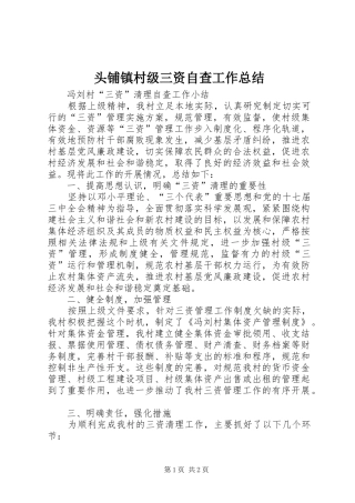 2024年头铺镇村级三资自查工作总结