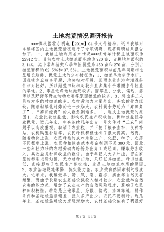 2024年土地抛荒情况调研报告