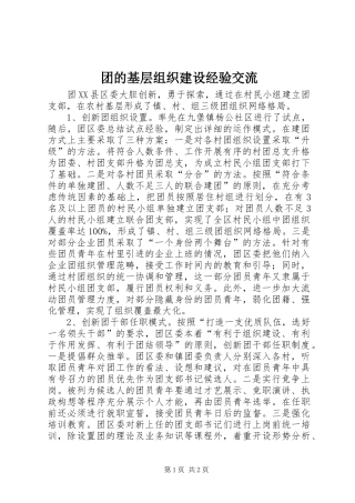 2024年团的基层组织建设经验交流