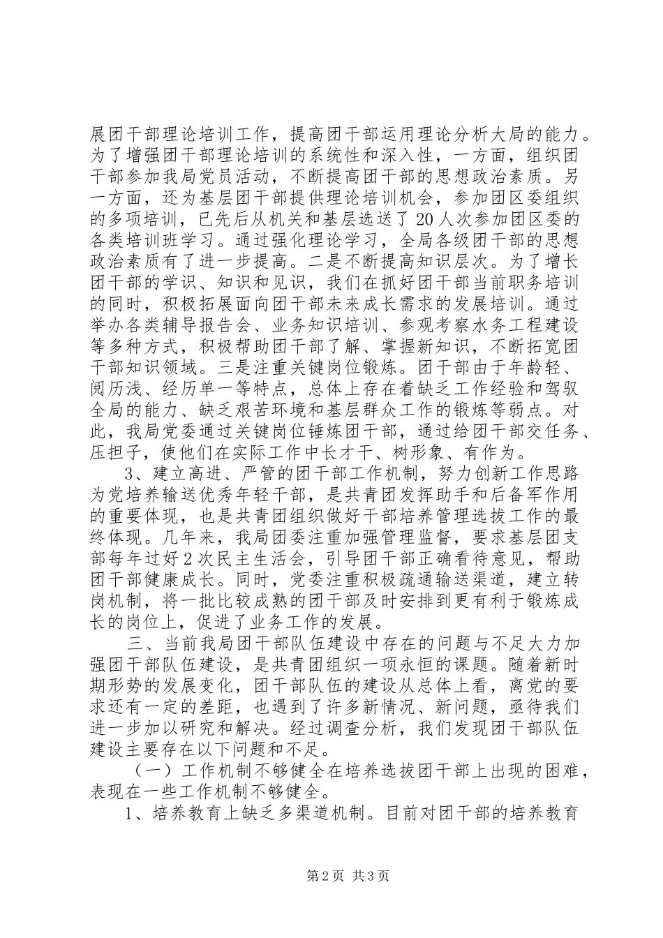 2024年团干部队伍建设的调查与思考_第2页