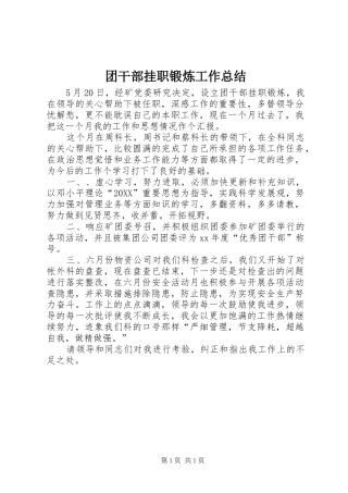 2024年团干部挂职锻炼工作总结