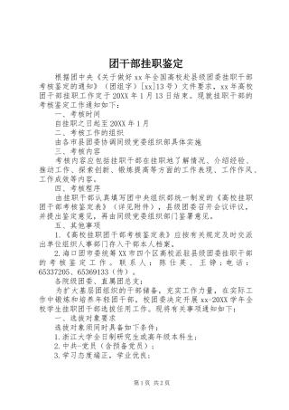 2024年团干部挂职鉴定