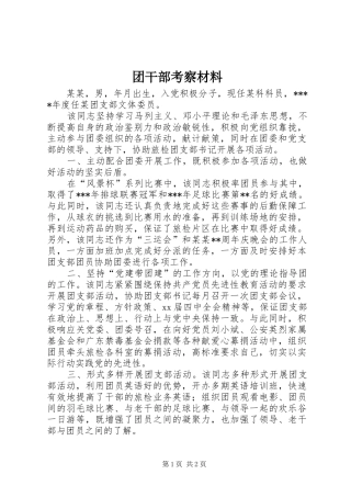 2024年团干部考察材料