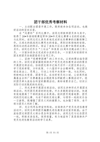 2024年团干部优秀考察材料
