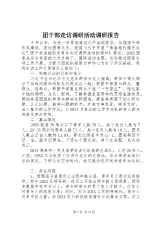 2024年团干部走访调研活动调研报告