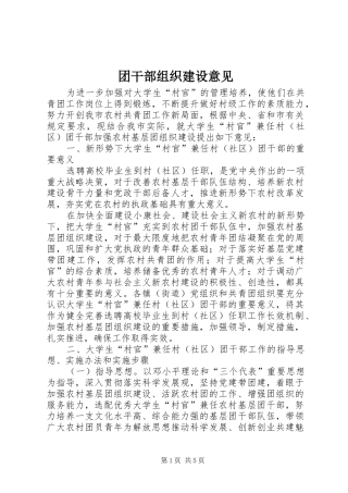 2024年团干部组织建设意见