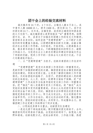 2024年团干会上的经验交流材料