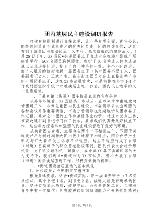 2024年团内基层民主建设调研报告