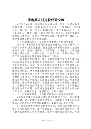 2024年团市委农村建设经验交流