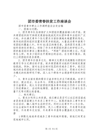 2024年团市委青春扶贫工作座谈会