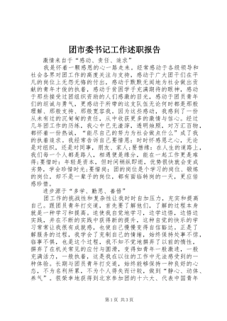 2024年团市委书记工作述职报告