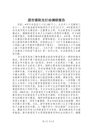 2024年团市委阳光行动调研报告