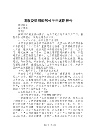 2024年团市委组织部部长半年述职报告