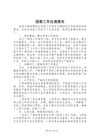 2024年团委工作自查报告