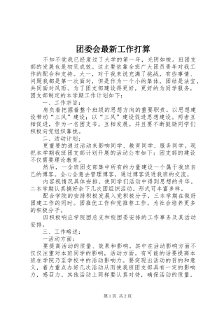 2024年团委会最新工作打算
