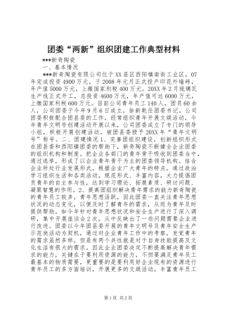 2024年团委两新组织团建工作典型材料
