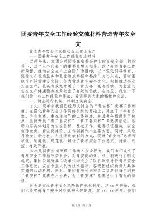 2024年团委青年安全工作经验交流材料营造青年安全文