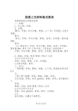 2024年团委上交材料格式要求