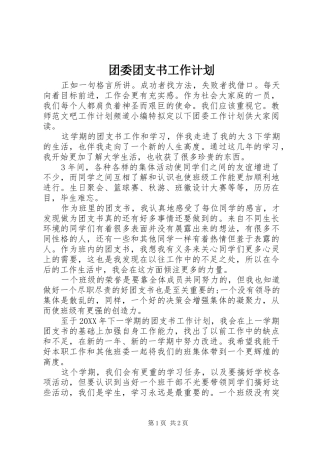 2024年团委团支书工作计划