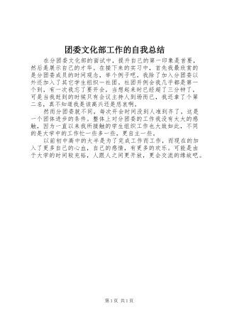 2024年团委文化部工作的自我总结