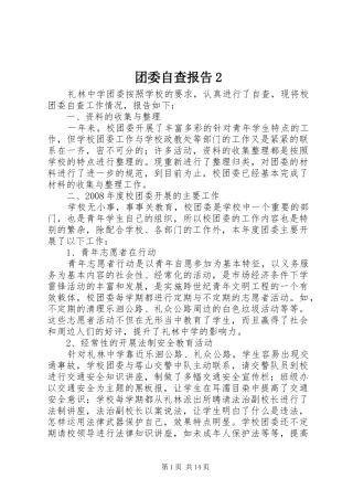 2024年团委自查报告