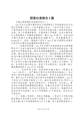 2024年团委自查报告篇