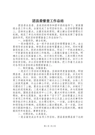 2024年团县委督查工作总结