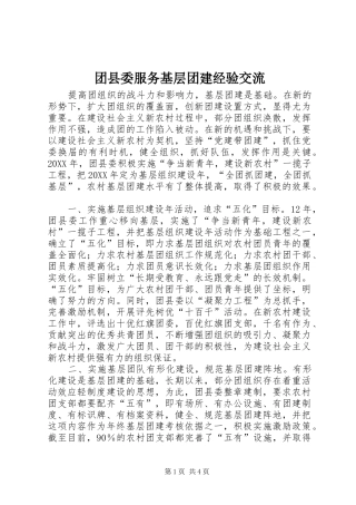 2024年团县委服务基层团建经验交流