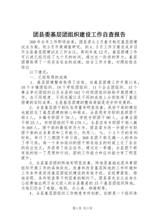 2024年团县委基层团组织建设工作自查报告