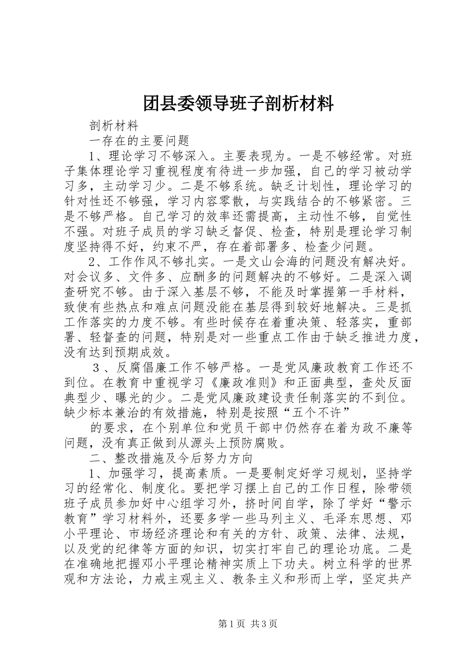 2024年团县委领导班子剖析材料_第1页