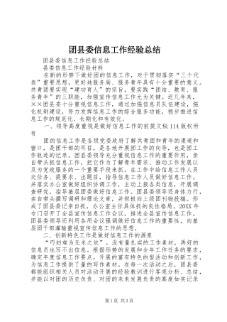 2024年团县委信息工作经验总结