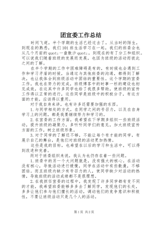 2024年团宣委工作总结