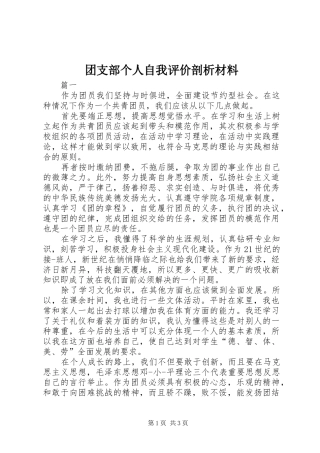 2024年团支部个人自我评价剖析材料