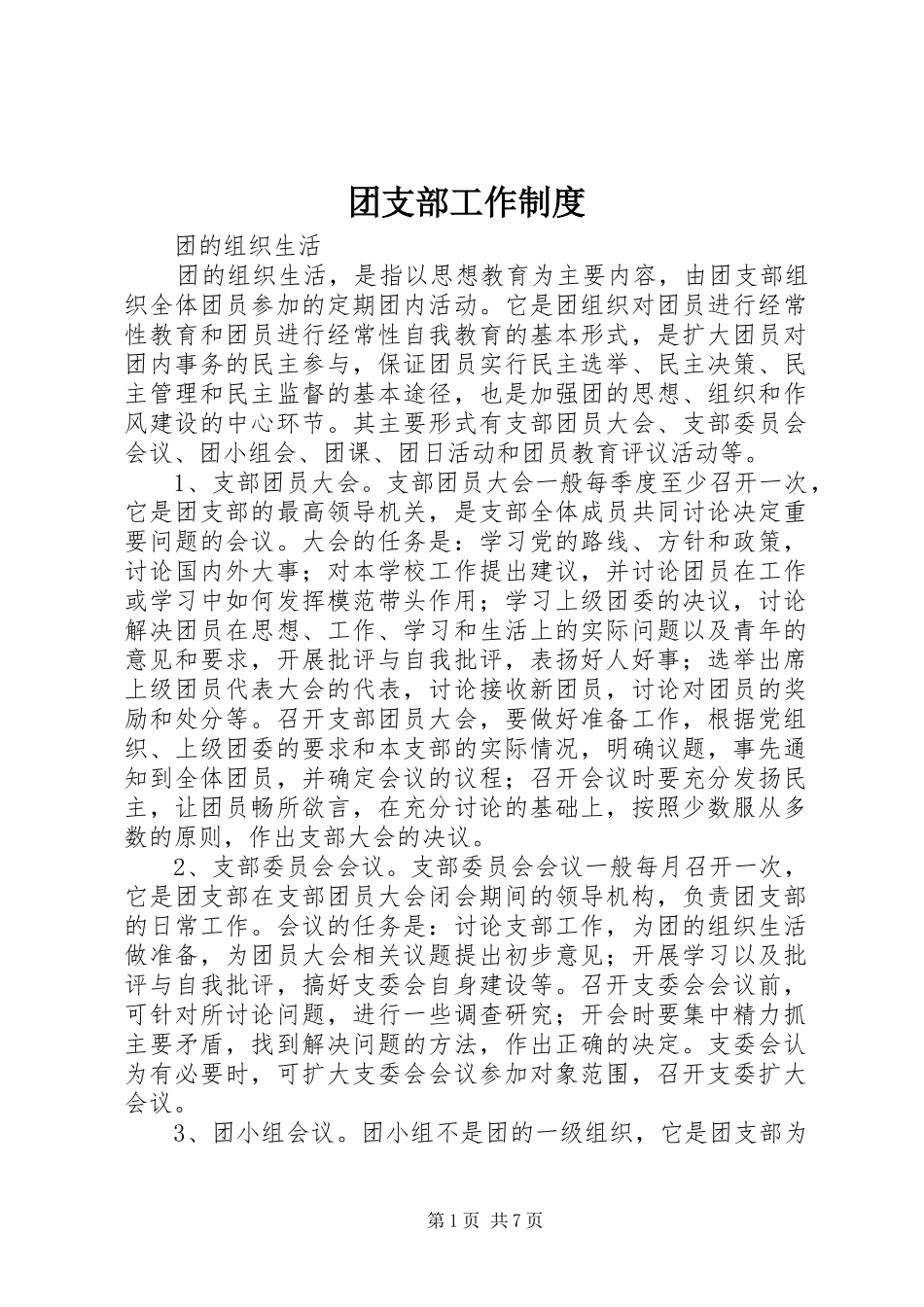 2024年团支部工作制度_第1页