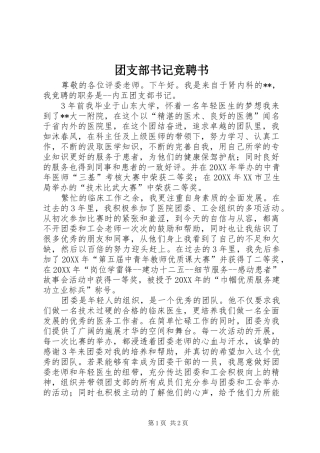 2024年团支部书记竞聘书