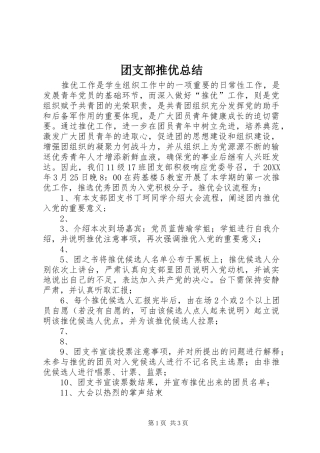 2024年团支部推优总结