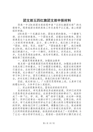 2024年团支部五四红旗团支部申报材料