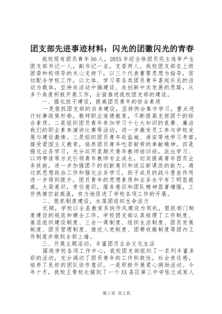 2024年团支部先进事迹材料闪光的团徽闪光的青春