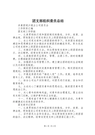 2024年团支部组织委员总结